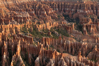 Hoodoos of Bryce