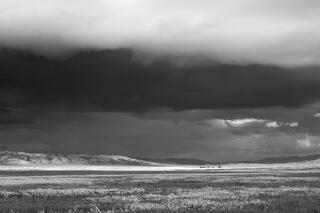 Afternoon Light in Carrizo