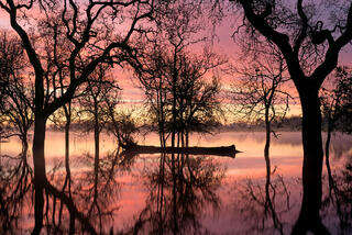 Sunrise Color Reflections