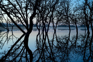 Reflections at Dawn
