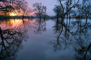 Overcast Morning Sunrise