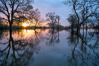 Overcast Morning Reflections