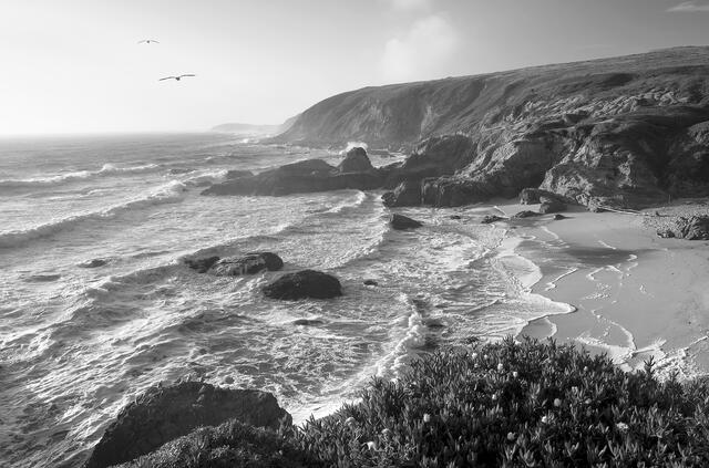Sunset at Bodega Head