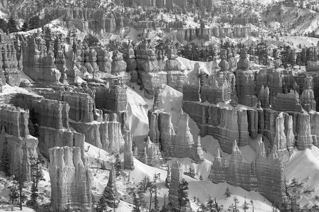 Royal Hoodoos of Winter