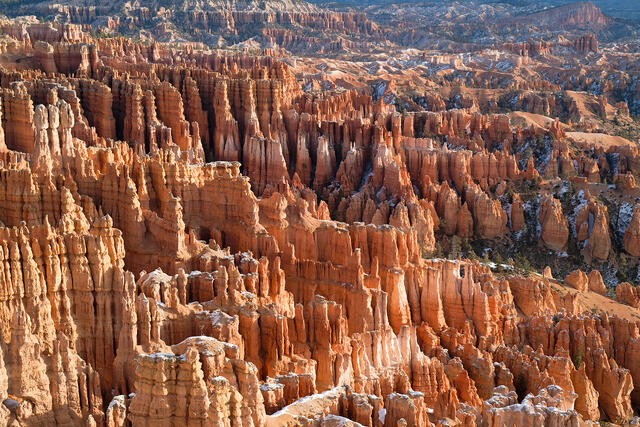 Shining Hoodoos at Sunrise