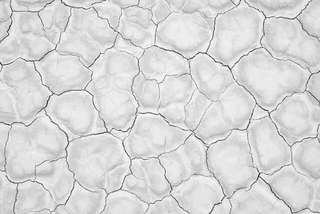 Pieces of the Desert Puzzle