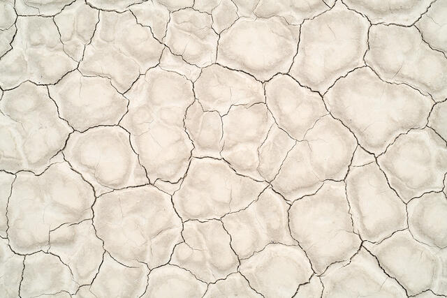 Pieces of the Desert Puzzle