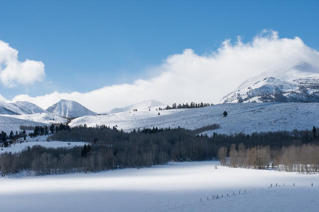 Eastern Sierra Winter Afternoon