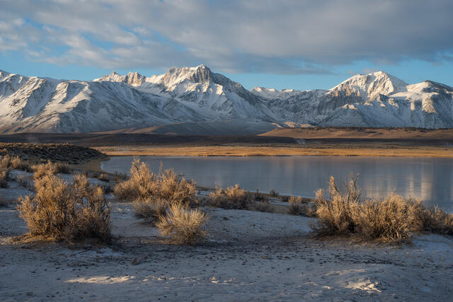 Owens Valley Mixed Light at Sunrise