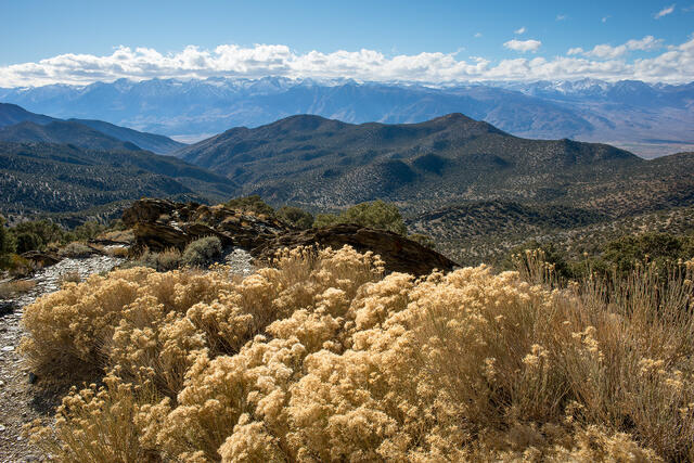 Springtime Above Owens Valley