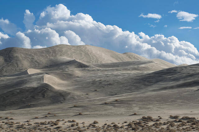 Sands After The Storm