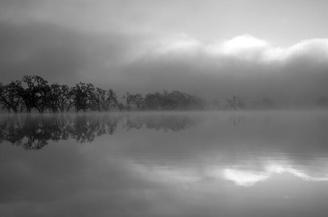 Disappearing Into Fog
