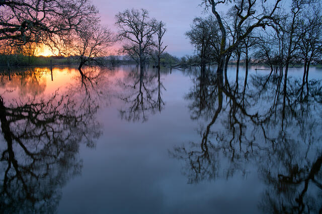 Overcast Morning Sunrise