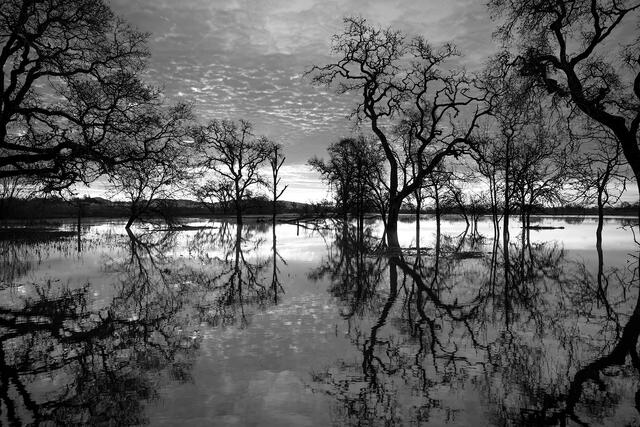 Sunrise Sky Reflections