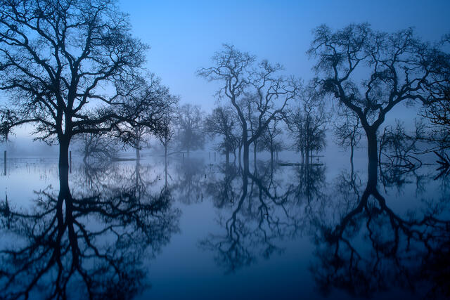 Blue Hues of Dawn