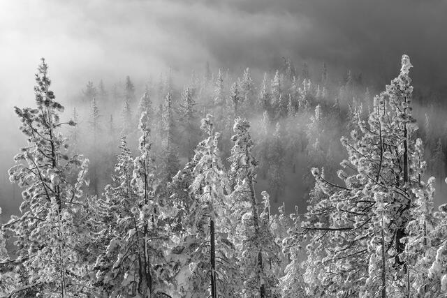 Tahoe Clearing Fog at Sunrise
