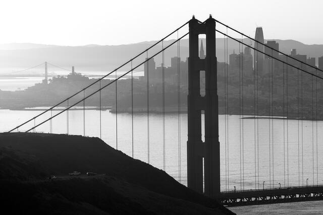 Golden Morning at the Bay