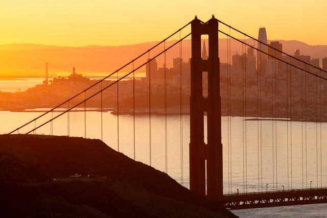 Golden Morning at the Bay