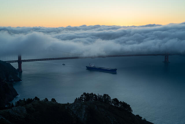Passing Through The Fog