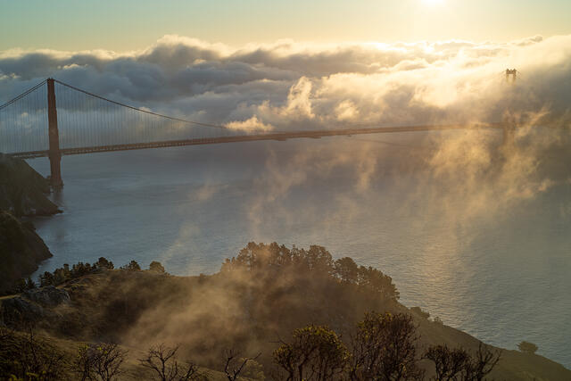 Rising Fog at the Bridge