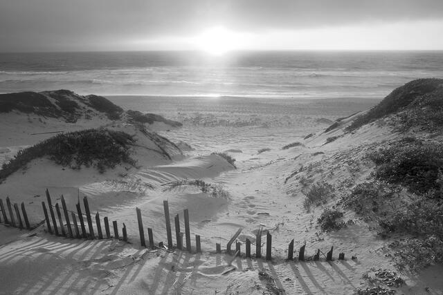 Marina Dunes Sunset