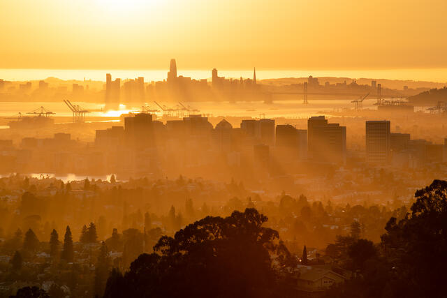 Light Rays of the Bay
