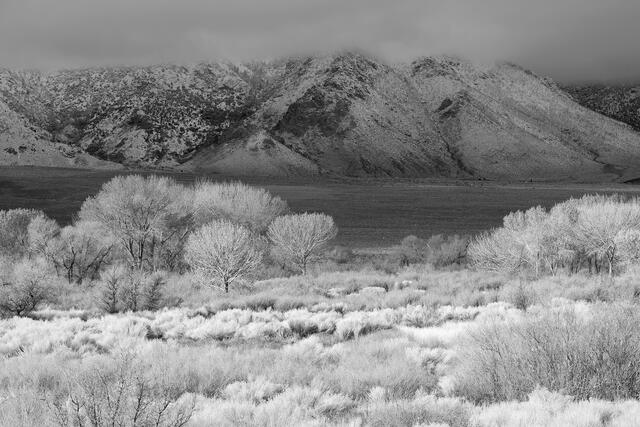 Owens Valley Winter Light