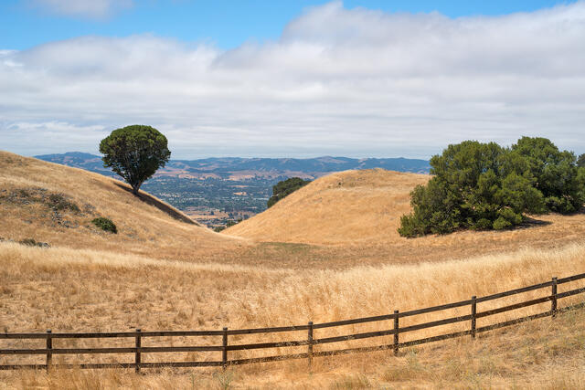 Clearing Fog Layer in Petaluma