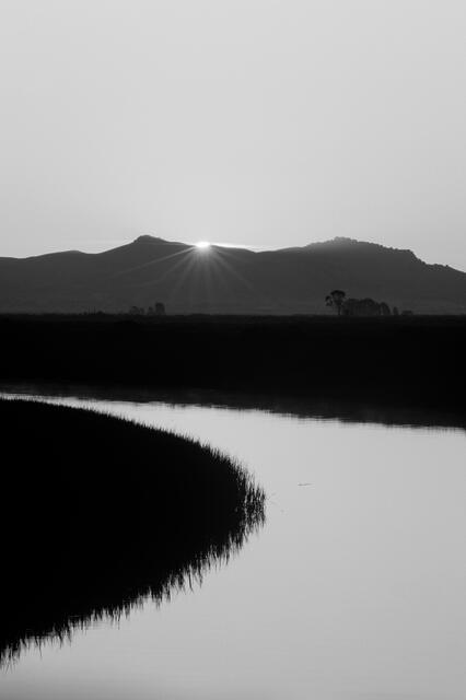 Golden Carneros Sunrise