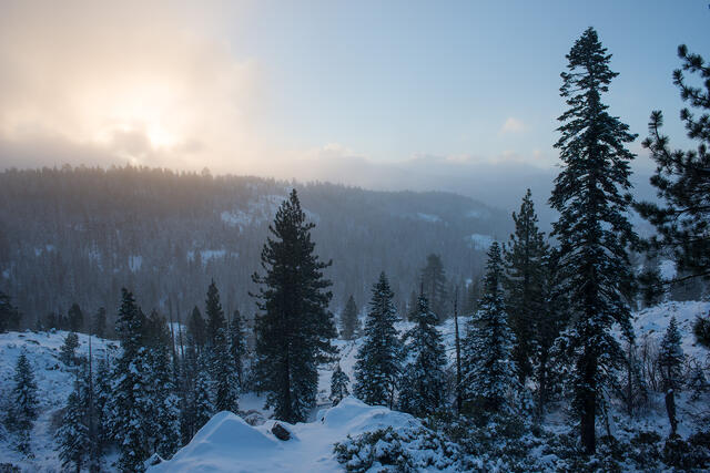 Winter Sunrise Tahoe Forest