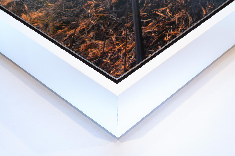 Metal Print with Float Frame (ready to hang)